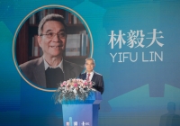 林毅夫：第二個百年目標——2050年把中國建設(shè)成社會主義現(xiàn)代化強國